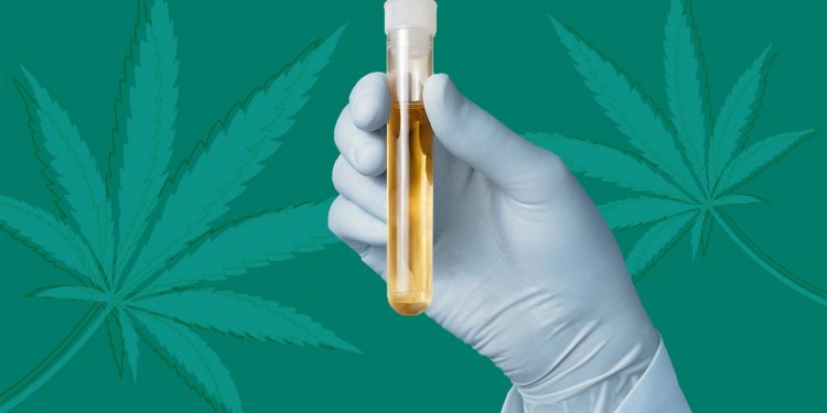 Can I Test Positive For Drugs If I Use CBD?