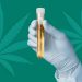 Can I Test Positive For Drugs If I Use CBD?