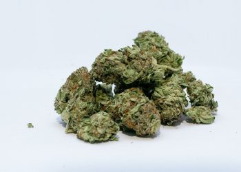 Tips For Identifying High-Quality Weed