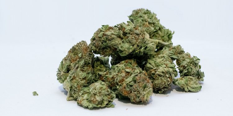 Tips For Identifying High-Quality Weed