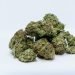 Tips For Identifying High-Quality Weed