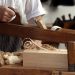 Woodworkers’ Favorite Types of Wood