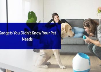 Gadgets You Didn’t Know Your Pet Needs