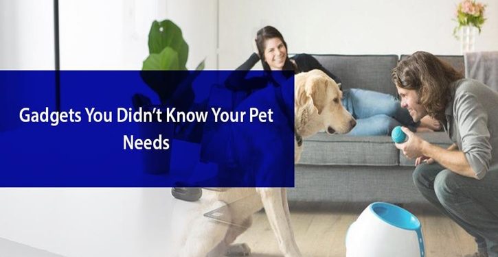 Gadgets You Didn’t Know Your Pet Needs