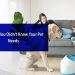Gadgets You Didn’t Know Your Pet Needs