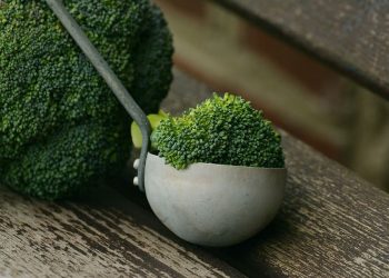 Tall, Dark Green, and Healthy: Reasons to Eat Broccoli