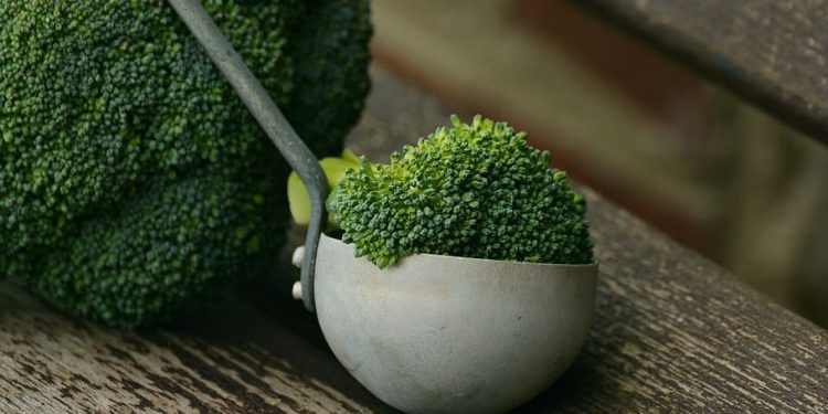 Tall, Dark Green, and Healthy: Reasons to Eat Broccoli