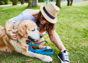 Spending Time Outdoors With Your Dog: Fun Things to Teach Them This Summer