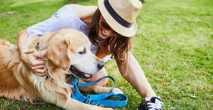 Spending Time Outdoors With Your Dog: Fun Things to Teach Them This Summer