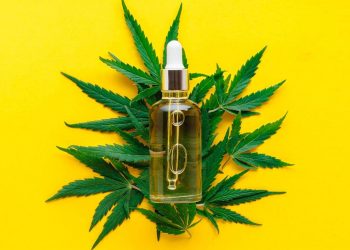 Hemp Oil Products: A Helpful Guide on Hemp-based Treatments