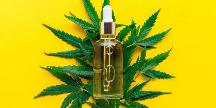 Hemp Oil Products: A Helpful Guide on Hemp-based Treatments