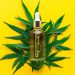 Hemp Oil Products: A Helpful Guide on Hemp-based Treatments