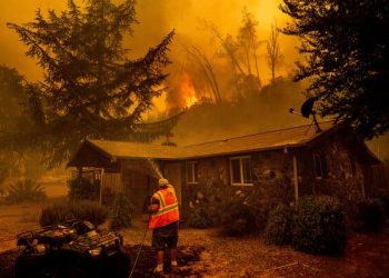 Wildfire Season Is Approaching: Here’s How You Can Prepare