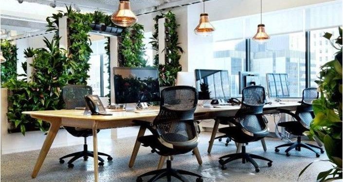 5 Great Qualities of a Biophilic Office