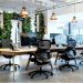 5 Great Qualities of a Biophilic Office