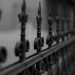 A Look at Different Kinds of Security Fencing: Which is Right for Your Needs?