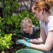 Why It Pays to Pursue Home Gardening amid the Pandemic