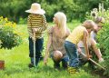 What Are the Most Common Garden Hazards to Watch Out For?