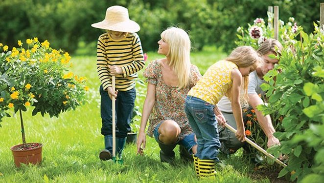 What Are the Most Common Garden Hazards to Watch Out For?