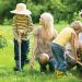 What Are the Most Common Garden Hazards to Watch Out For?