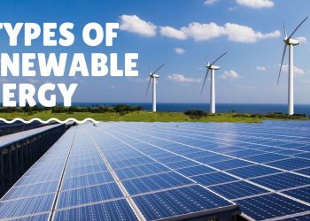 Renewable Energy: Some Facts You Need To Know