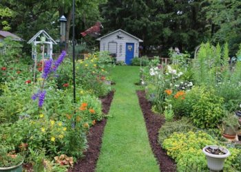 Starting a Garden? Here’s How to Start from Scratch