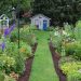 Starting a Garden? Here’s How to Start from Scratch