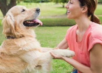 7 Ways to Build a Stronger Bond with Your Dog