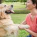7 Ways to Build a Stronger Bond with Your Dog