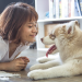 What to Look for in the Best Dog Sitter