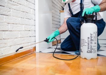 5 Pest Control Tips To Keep Bees Away From You And Your Home