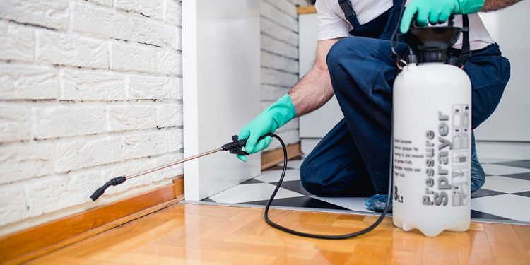 5 Pest Control Tips To Keep Bees Away From You And Your Home