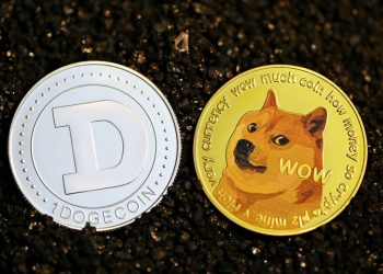 The Main Difference Between Bitcoin and Dogecoin