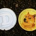 The Main Difference Between Bitcoin and Dogecoin