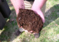 Why You Should Be Composting