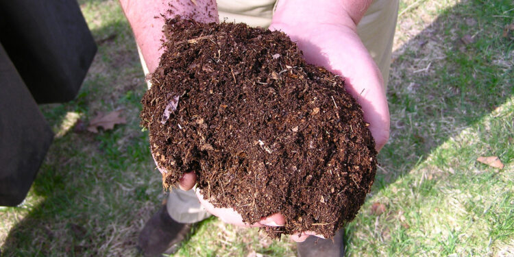 Why You Should Be Composting