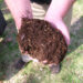 Why You Should Be Composting