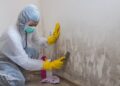 Steps Involved To Remove Or Remediate Mold In Home