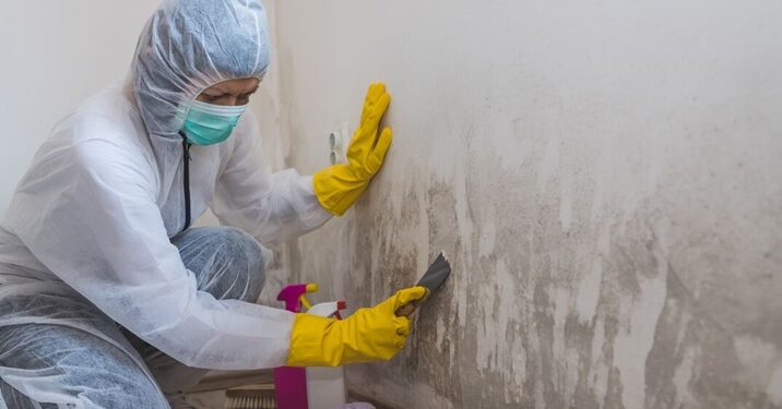 Steps Involved To Remove Or Remediate Mold In Home