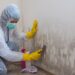 Steps Involved To Remove Or Remediate Mold In Home