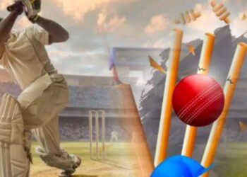 Tips for First-Time Users on Reddy Anna Book
