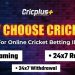 How Cricplus ID Enhances Your Online Cricket Betting Experience