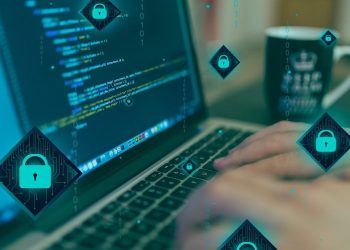 The Executive Guide to Assessing Open Source Software Risks