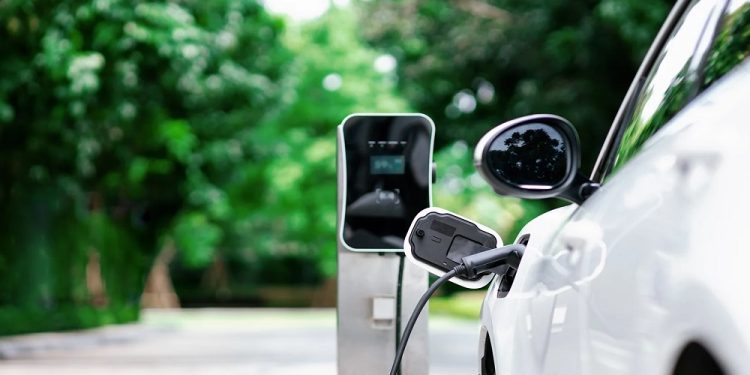 The Growing Demand for Sustainable Automotive Solutions
